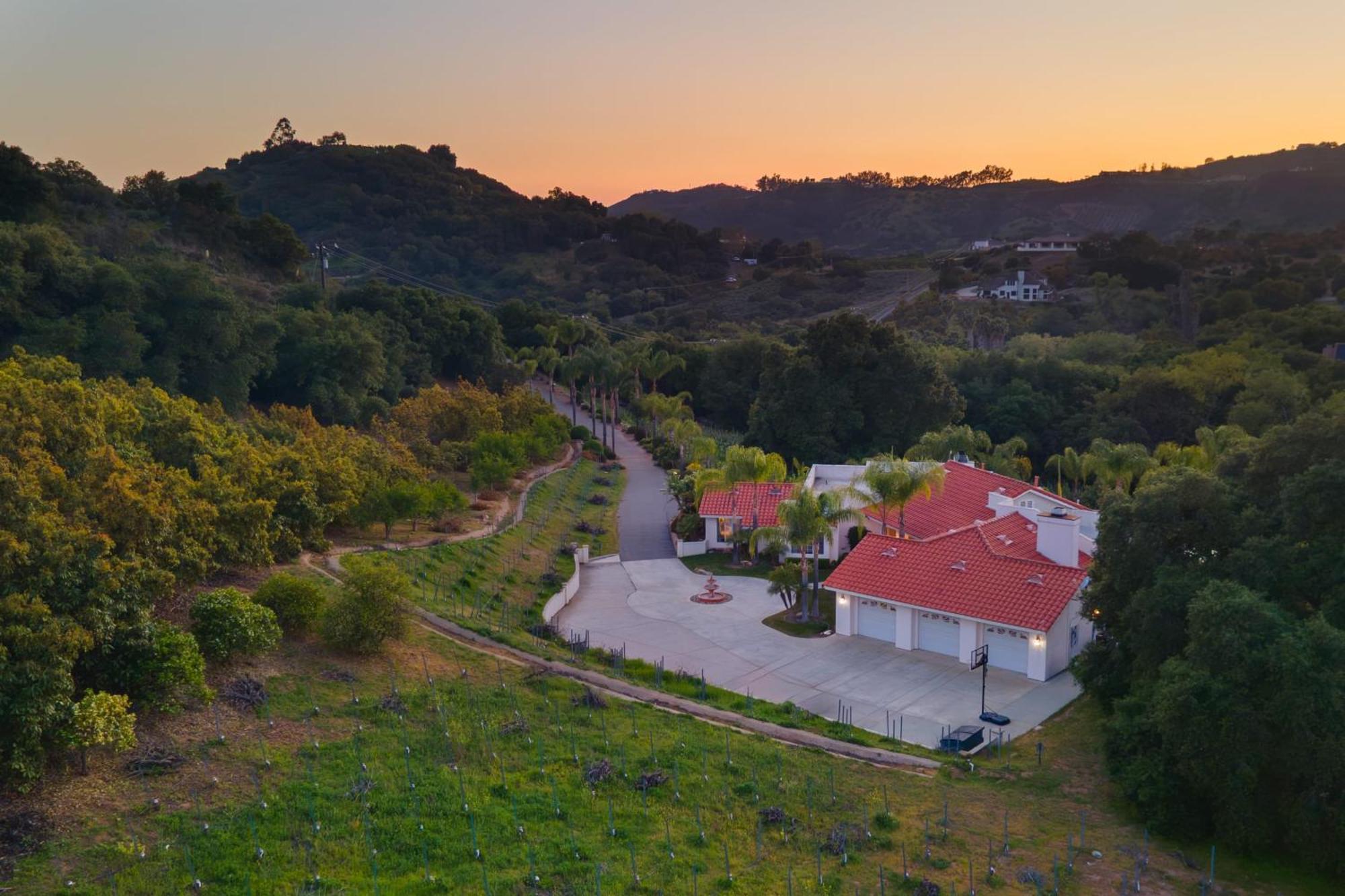 Grapevine By Avantstay Secluded 5Br Villa 4 Acres Of Vineyards Avo Groves 테메큘라 외부 사진